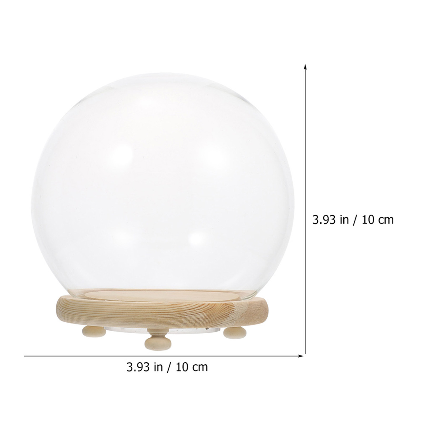 Clear Glass Dome Preserved Flo - Plastic Dome Clear recension och pris