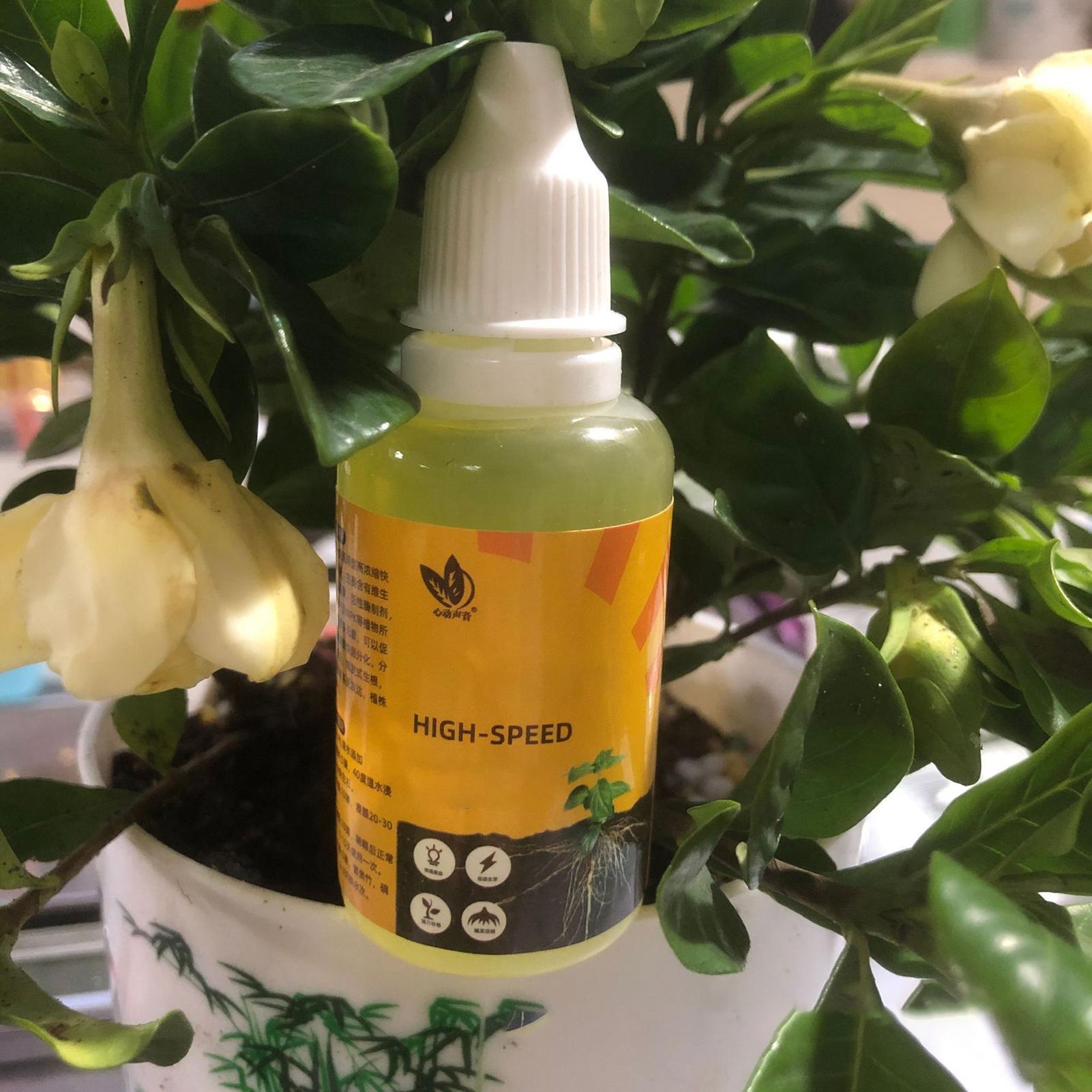 Fast Potting Rooting Plant Nut - Root Stimulator Liquid recension och pris